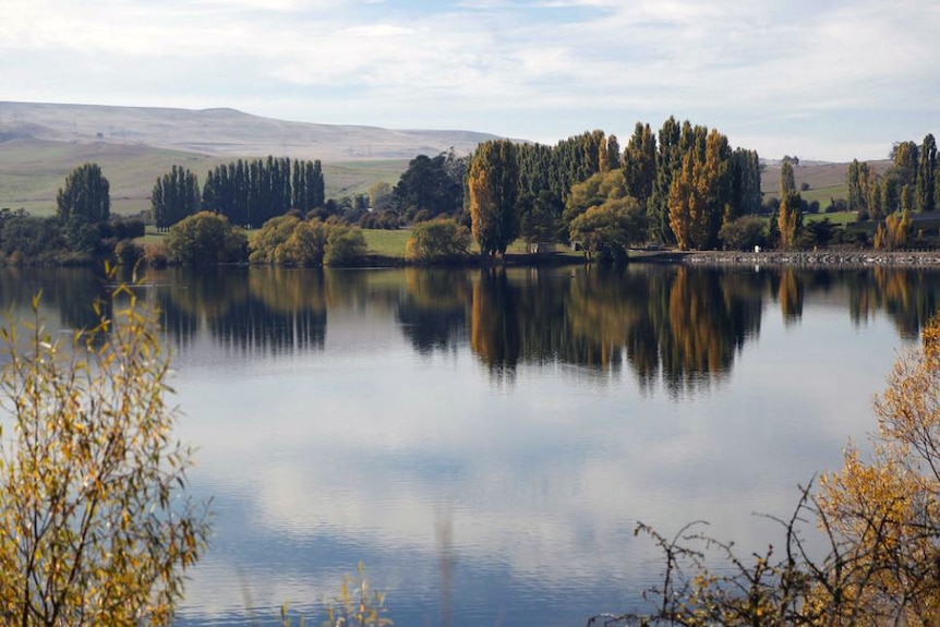 Deciduous trees begin to change colour on the edge of Tasmania's Lake Meadowbank.