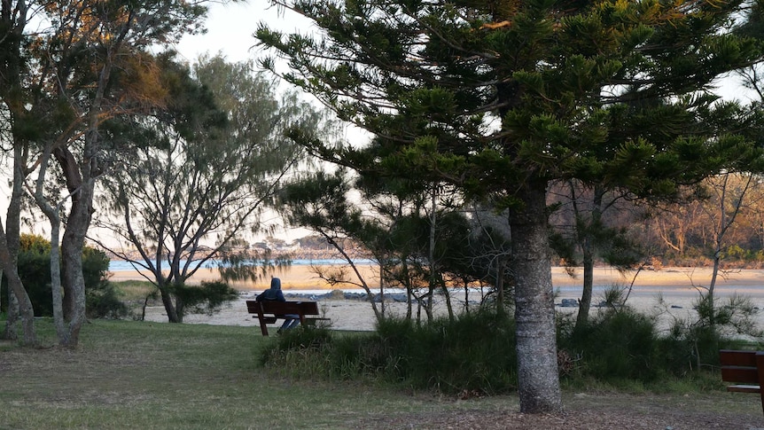 A park bench surrounded by trees overlooking the water. There is a man in a hoodie sitting on the bench with his face hidden.