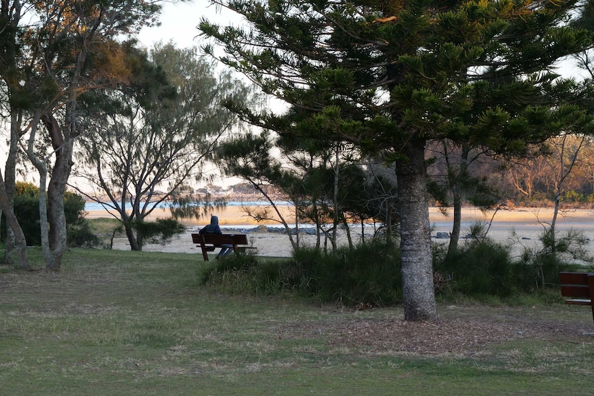 A park bench surrounded by trees overlooking the water. There is a man in a hoodie sitting on the bench with his face hidden.
