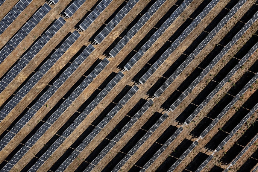 An aerial view of some solar panels.