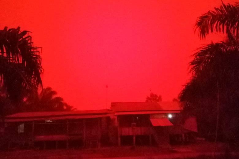 Palm trees and a home under a hazy red sky.