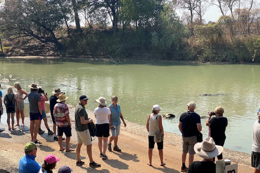 tourists standing too close to crocodiles in kakadu