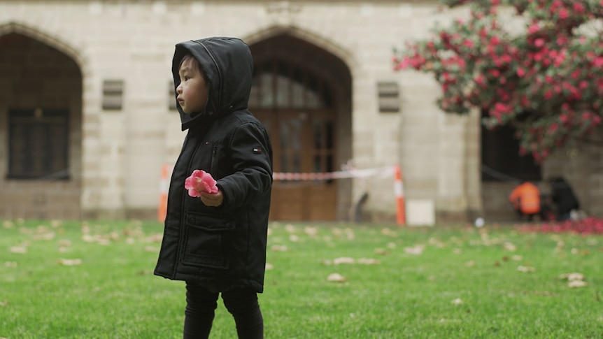Toddler Chloe Nuoyi Zhao stands on a grassy area holding a flower.