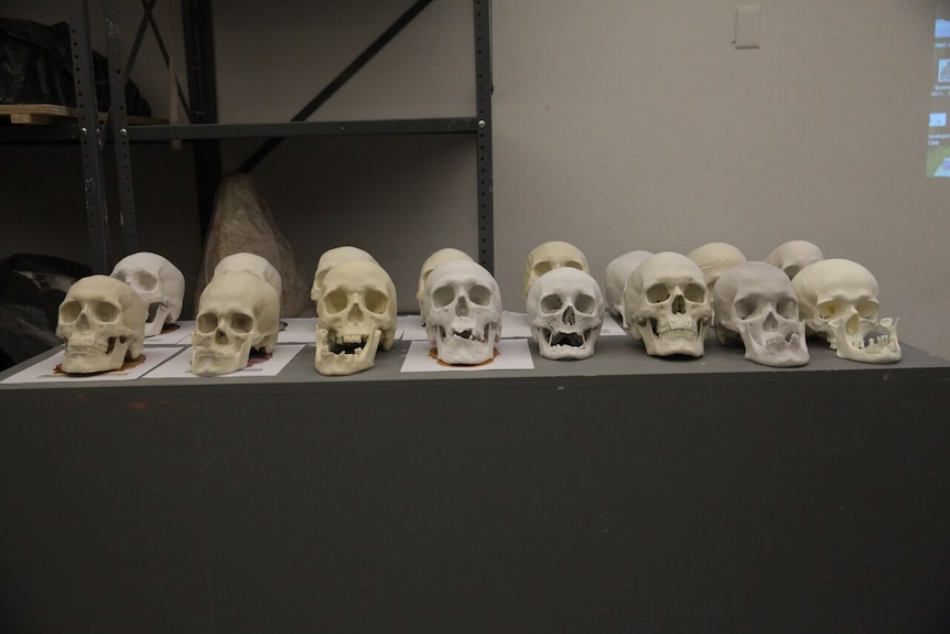 A number of 3D printed skulls sit on a table.