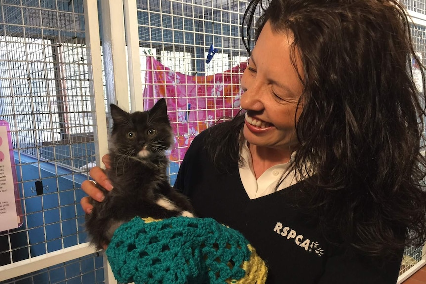 Tammy Ven Dange holds a kitten.