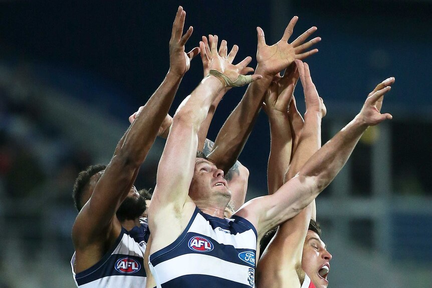 Male AFL players leap up in a pack with their arms stretched above the heads trying to mark the ball.