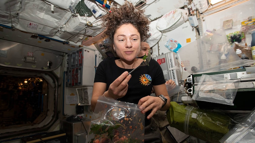According to scientists, genetically modified lettuce is the future of food and medicine in space.Let’s explain
