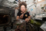 Astronaut eating a plant 