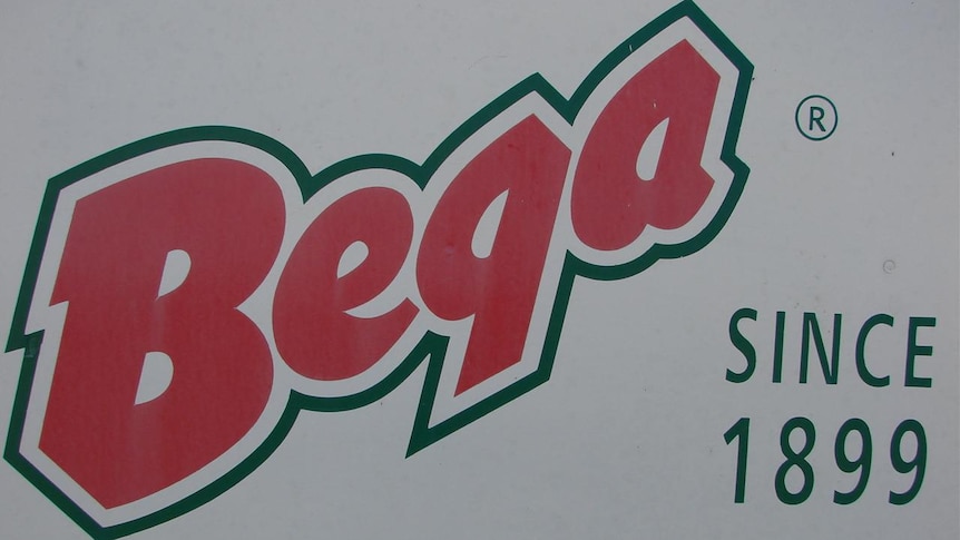 Bega Cheese share price fell when it was announced it had lost a contract to Murray Goulburn