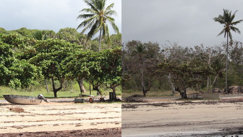 Side-by-side comparison of Quntell Beach, near Lockhart River, before and after Cyclone Trevor.