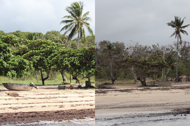 Side-by-side comparison of Quntell Beach, near Lockhart River, before and after Cyclone Trevor.