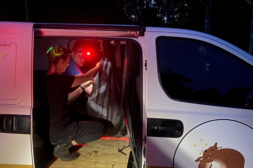 two people check on a wallaby in a dark bag, crouching in a white van at night