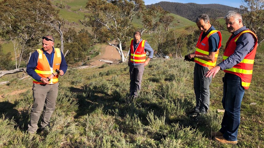 Four people in high vis vests standing in scrub land.