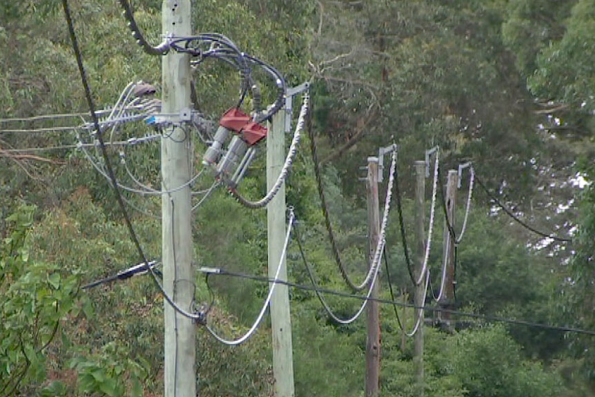 Powerlines at Red Hill.