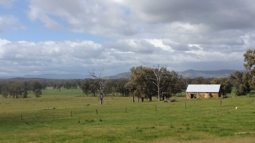 Rural land values have dipped in Victoria
