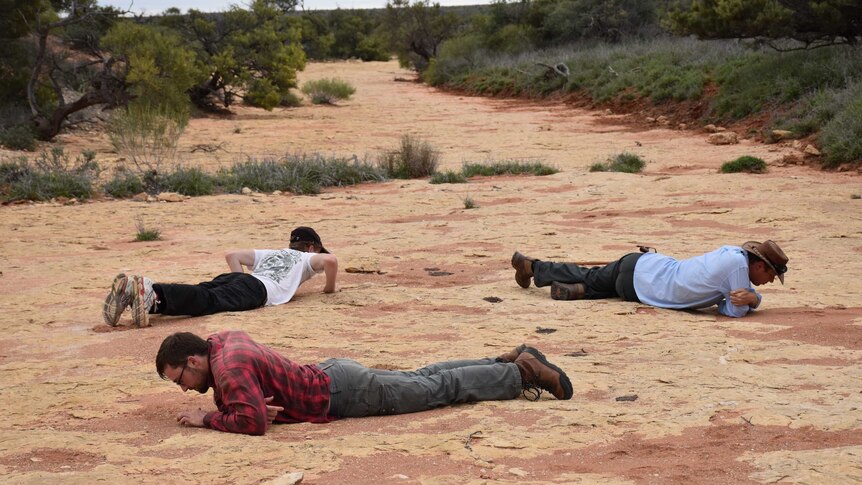 Three people lay on their stomachs in a dry riverbed looking at the dirt