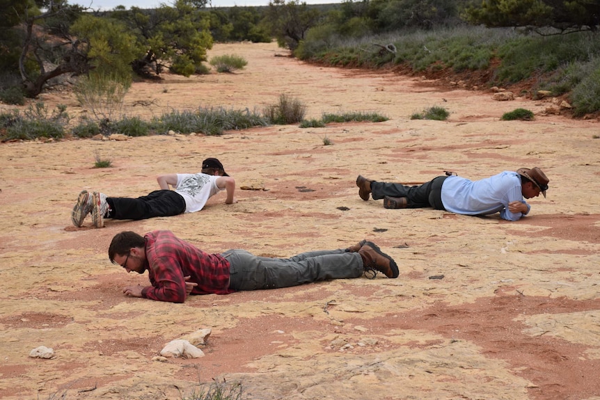 Three people lay on their stomachs in a dry riverbed looking at the dirt