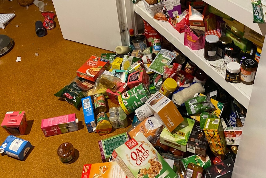 A pitcher of packaged food fallen out of a kitchen pantry after an earthquake on a cork floor.