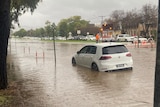 White car stuck in flood waters 