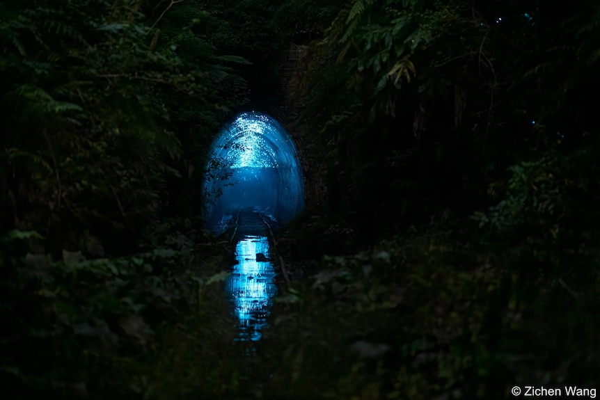 Blue light shines through a tunnel in the darkness. 