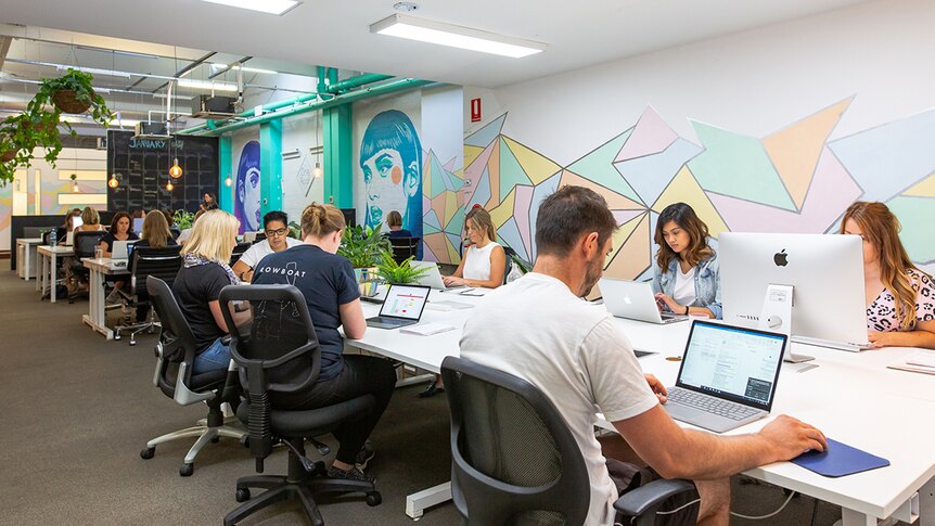 Women and men sit at computers around a large communal table. Colourful art is painted on the wall.
