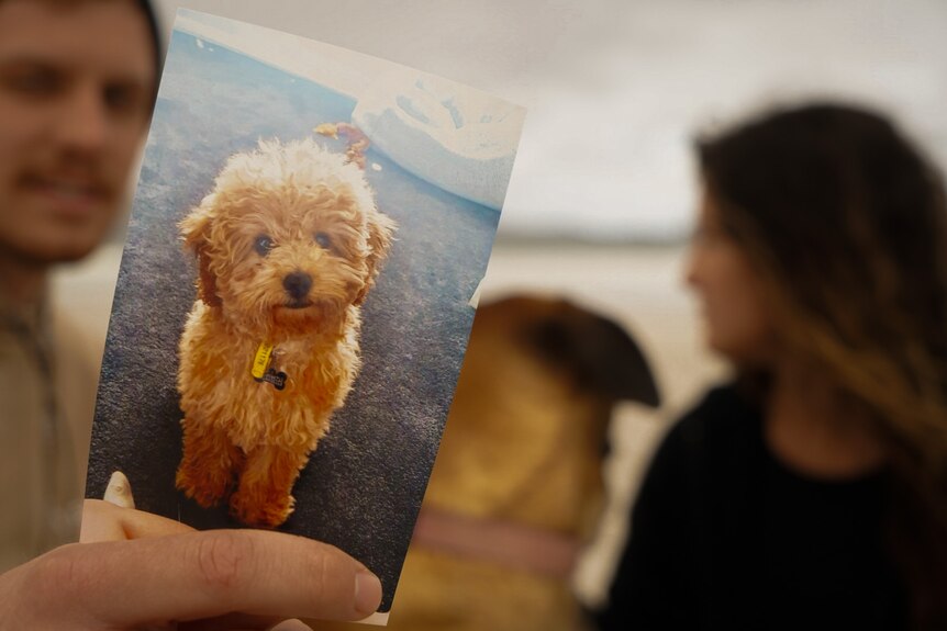 A man holds up a picture of a small, fluffy dog.
