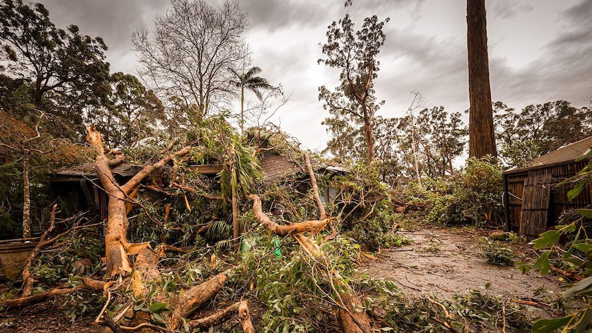 Kalorama storm damage