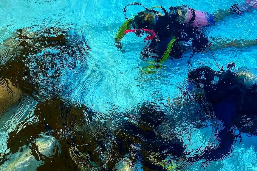 An image of four scuba divers in a pool, with the image taken from above in shallow water.