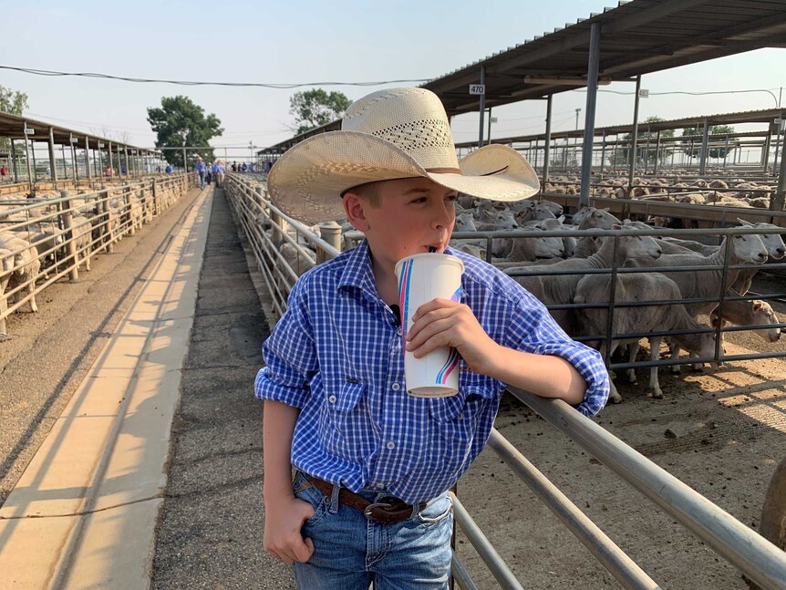 Small boy wearing a big cowboy hat drinking a milkshake at the saleyards with sheep in pens behind him.