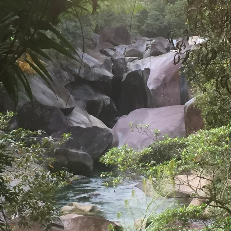 Rainforest with big rocks and waterholes
