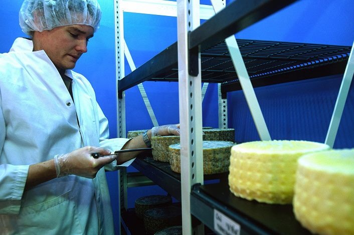 A man inspects cheese inside the Grandvewe Cheesery in Tasmania