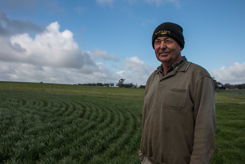 Western Victorian farmer Noel Barr stands in a wheat paddock.