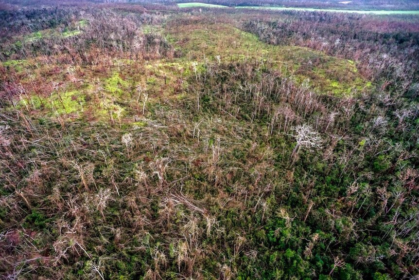 A drone shot of the decimated Iron Range