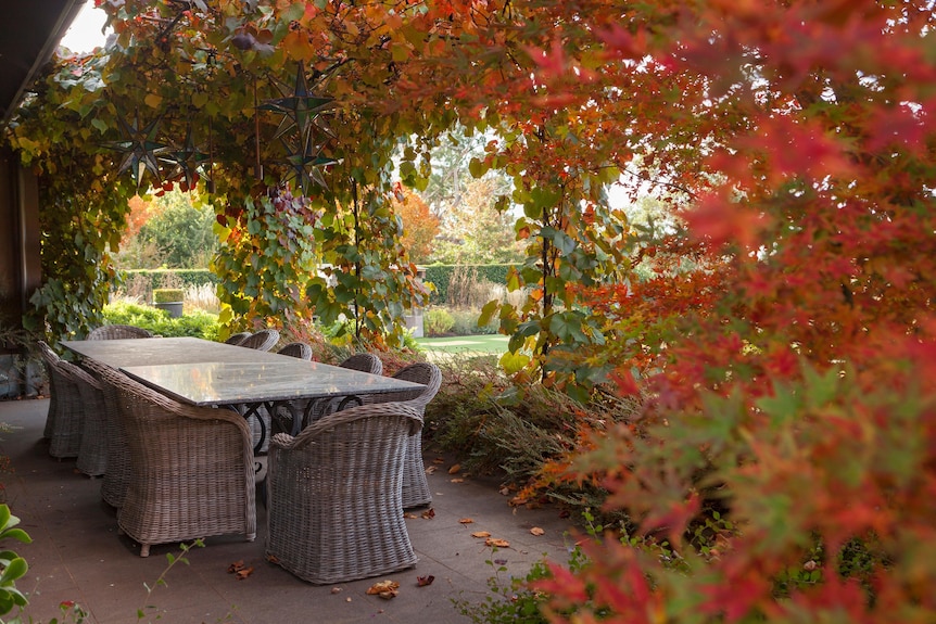 A table for six is nestled in an alcove looks out over the garden and is frame in grape vines.