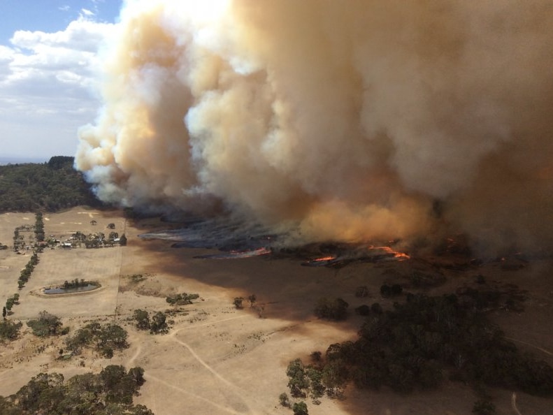 A bushfire at Mount Bolton