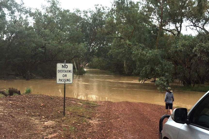 A woman stands on the road beside a flooded bridge in rural Queensland, brown floodwaters engulf the trees
