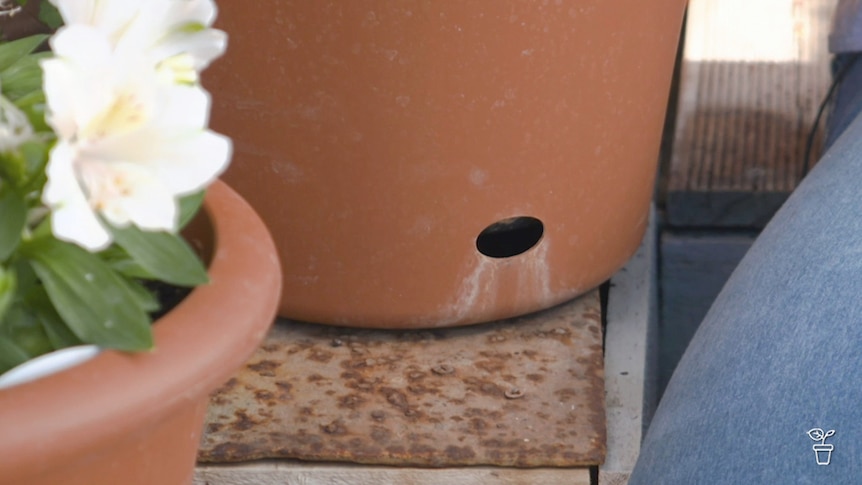 Base of a plastic self-watering pot.