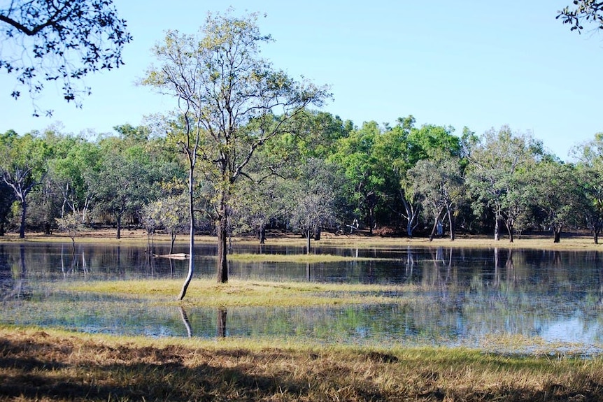 A dam filled with water on a property