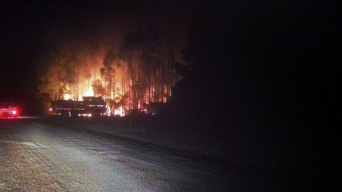 Instagram image of a bushfire burning in distant trees, a gravel road in the foreground