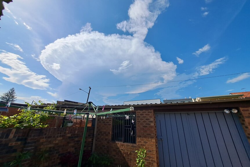 A cloud over a Sydney backyard