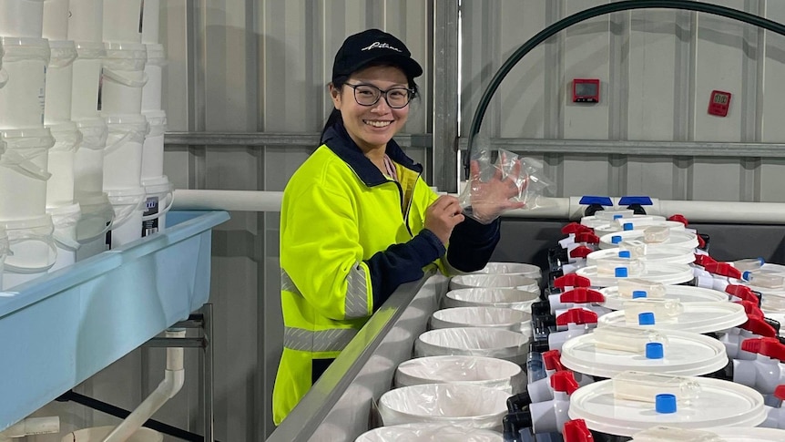 A smiling woman in glasses is standing over multiple white plastic buckets, wears fluoro jacket looking at the camera.