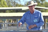 A man motioning with his hands as he practices auctioning cattle at the Gracemere saleyards.
