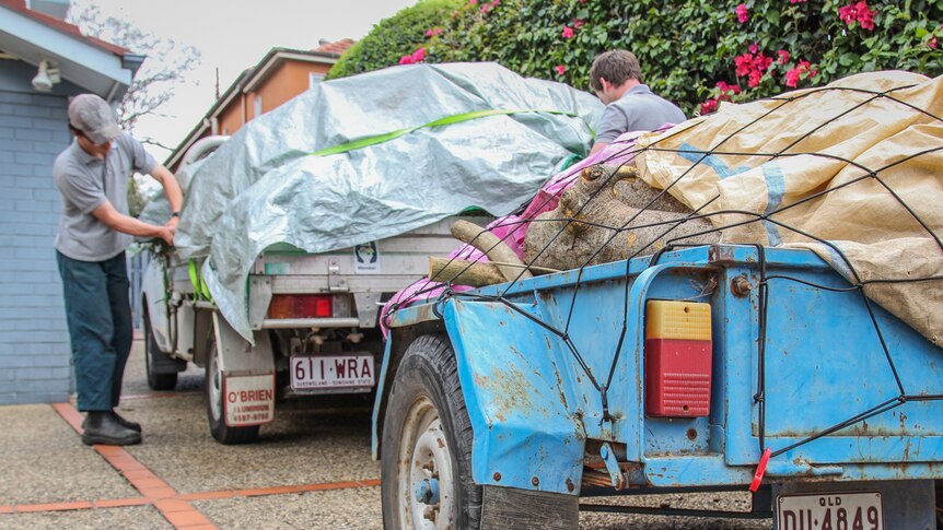 The brothers work together tending to gardens throughout Brisbane.