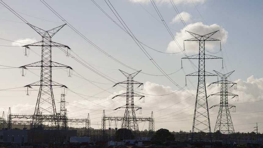 Power poles in Western Australia.