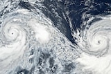 卫星数据显示台风“利奇马”和“科洛萨”在西太平洋上相距1500公里。