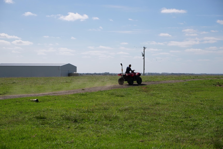 Carol on a quadbike riding across the horizon in front of her farm