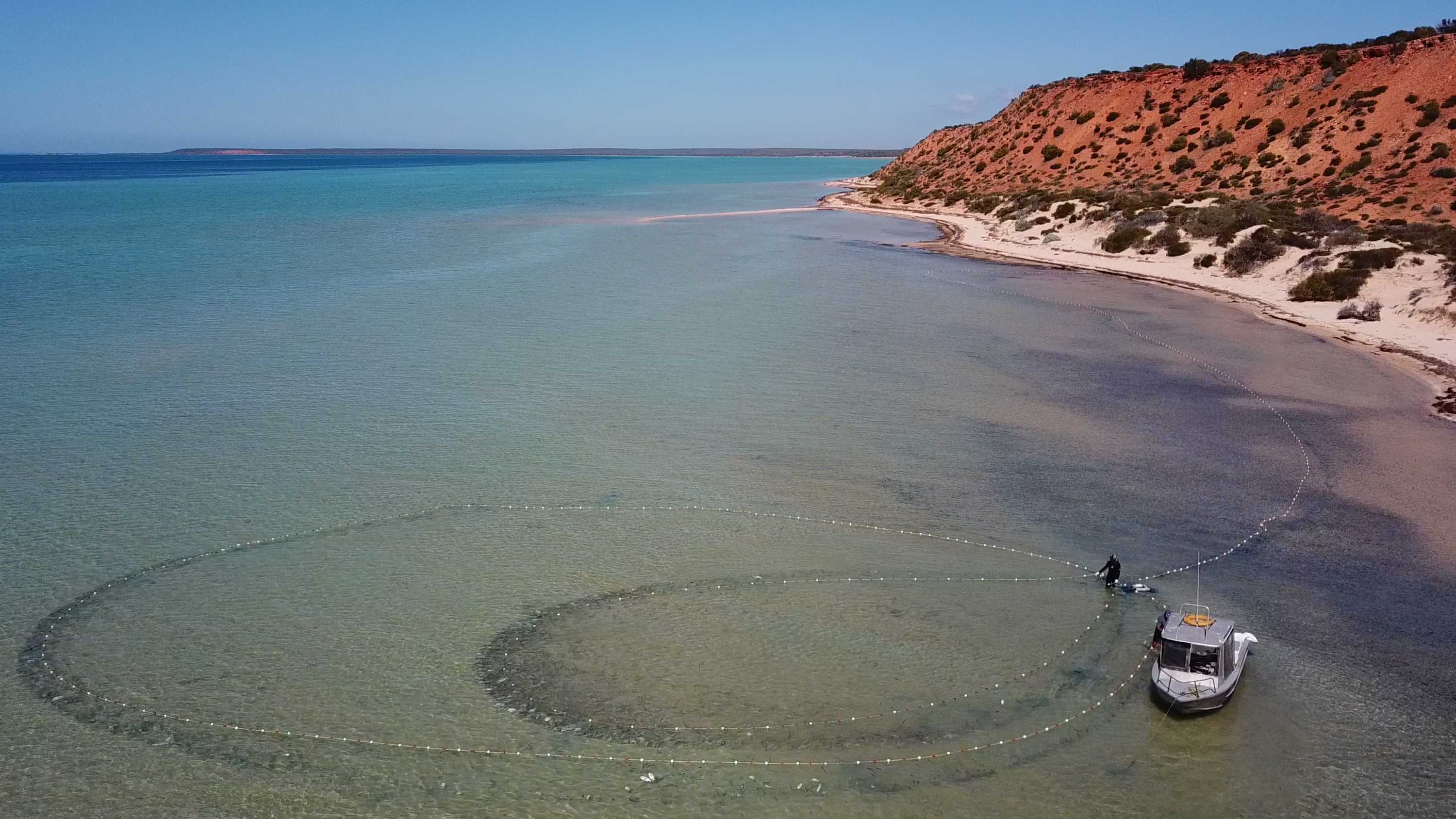 Shark Bay fishers keep their operations small to preserve their