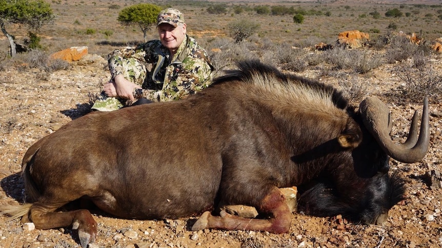 A man in military fatigues crouches next to a dead wildebeest