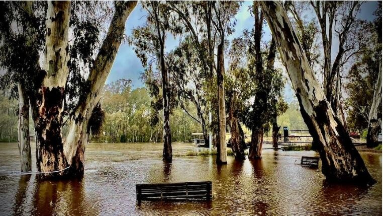 a park area covered in flood water