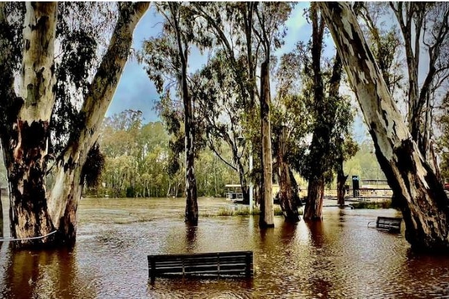 a park area covered in flood water